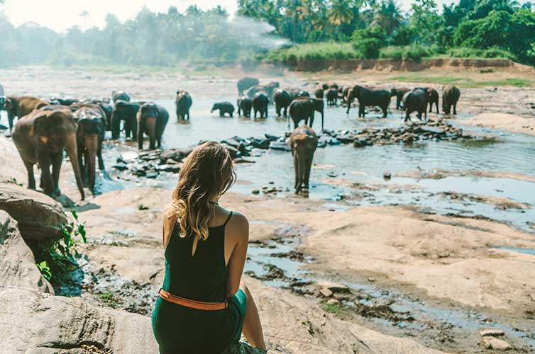 Sri-Lanka-elephants-Instagram-worthy-destinations