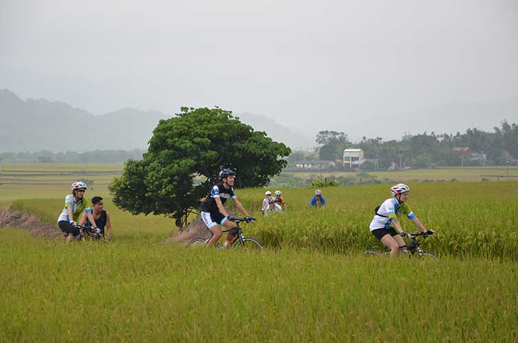 Taiwan-field-cyclists