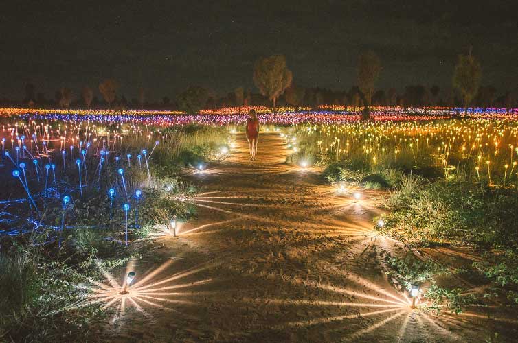 northern territory field of light