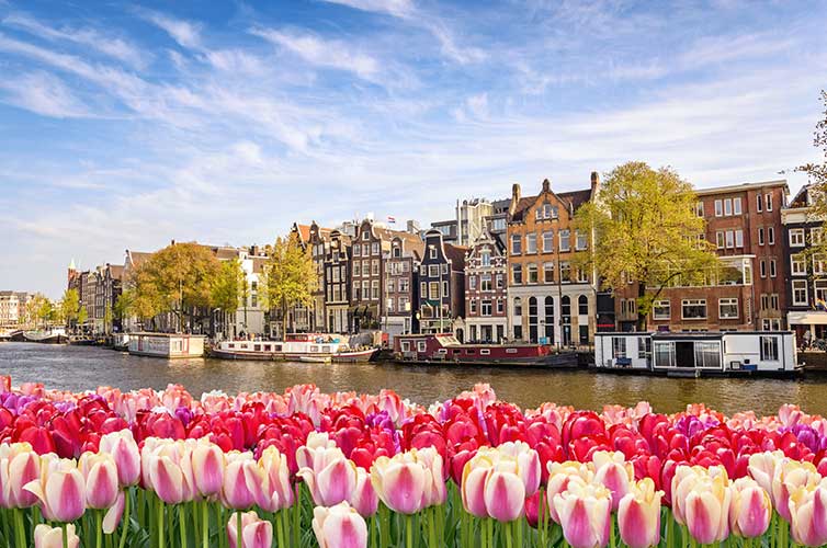 amsterdam-spring-destinations