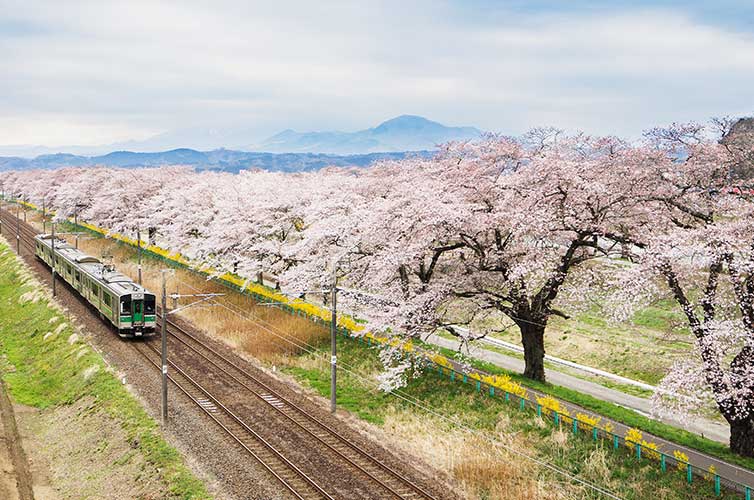 japan-spring-destinations