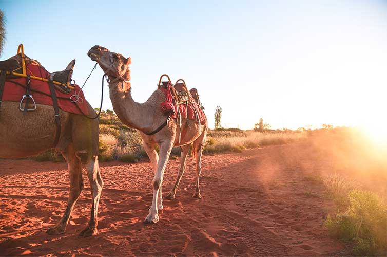 the outback study abroad