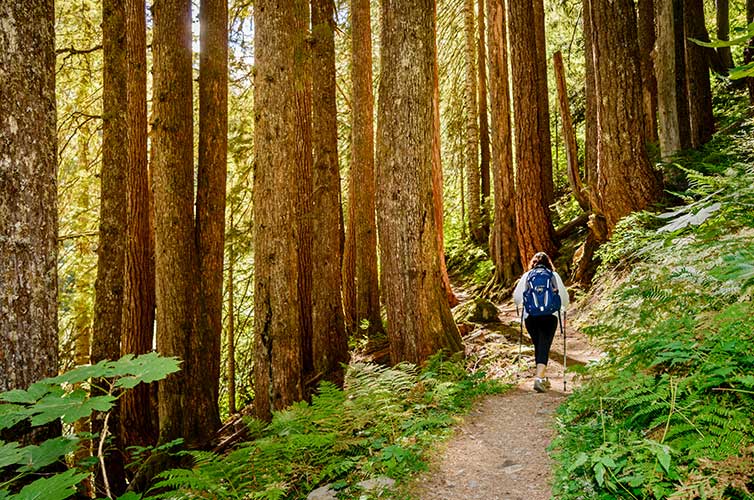 best backpacking routes