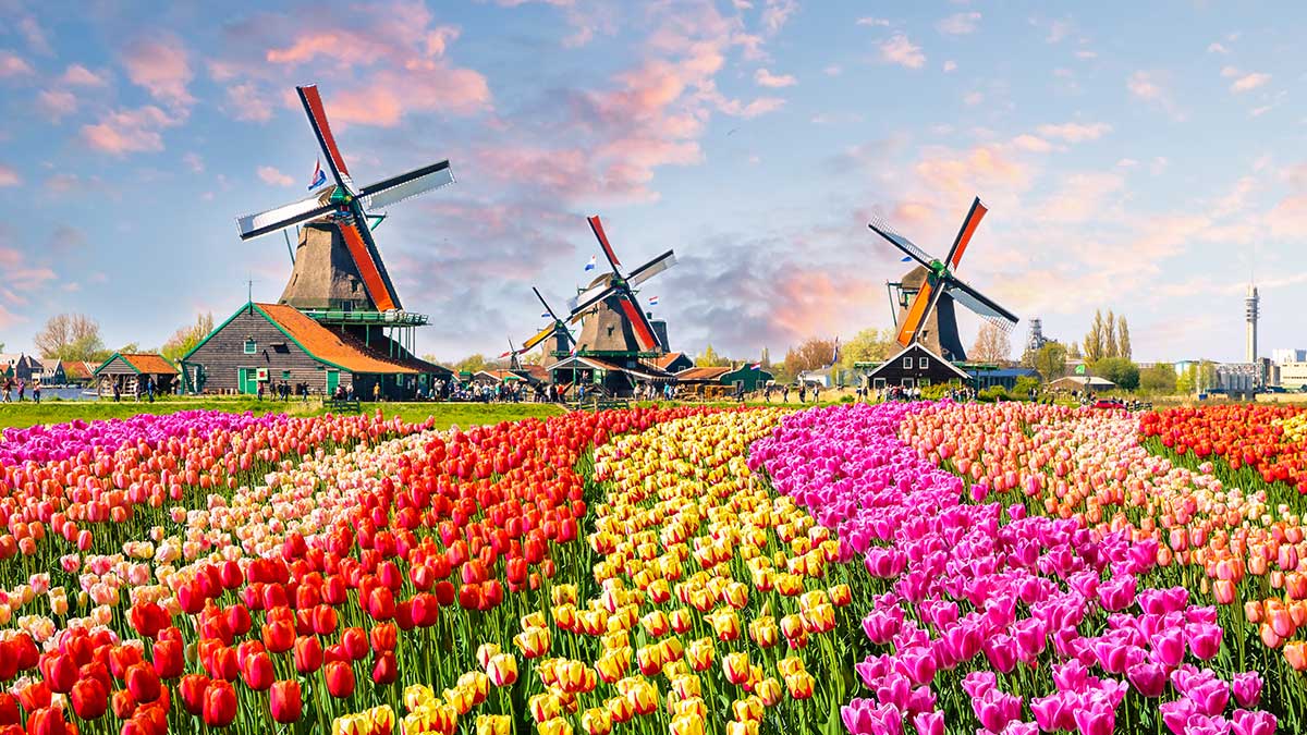 day trips from amsterdam