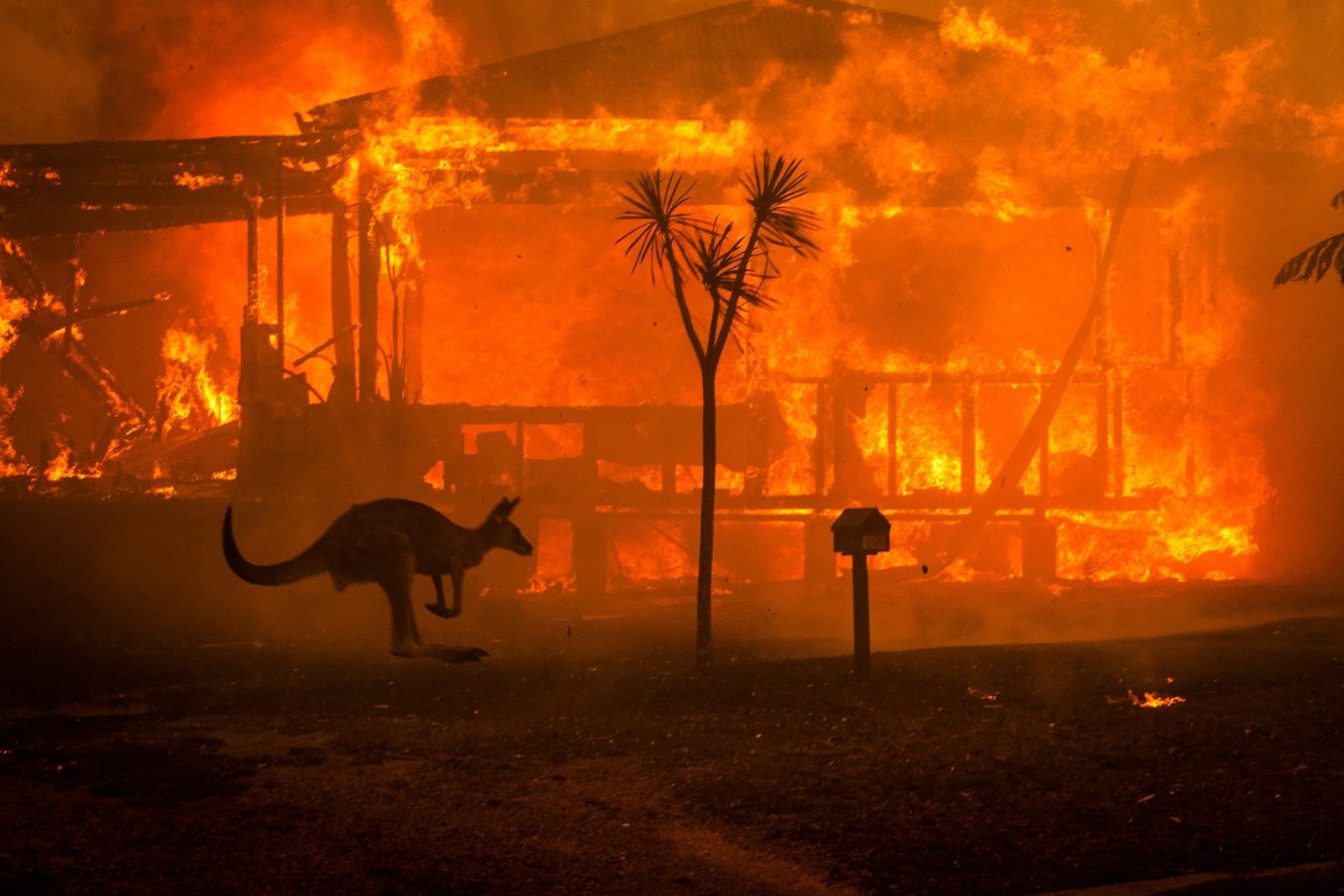 support australia wildfires