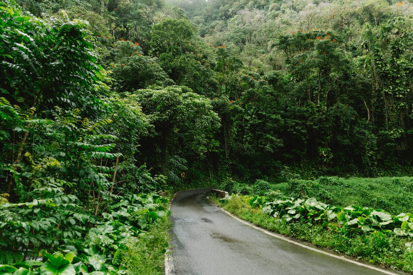 road to hana hawaii