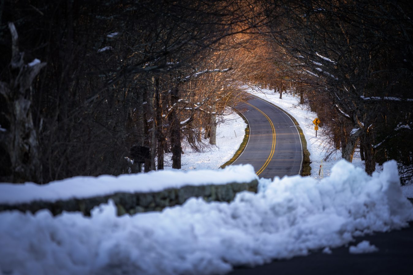 Skyline Drive in the winter leads to a tunnel of golden morning light in Shenandoah National Park.