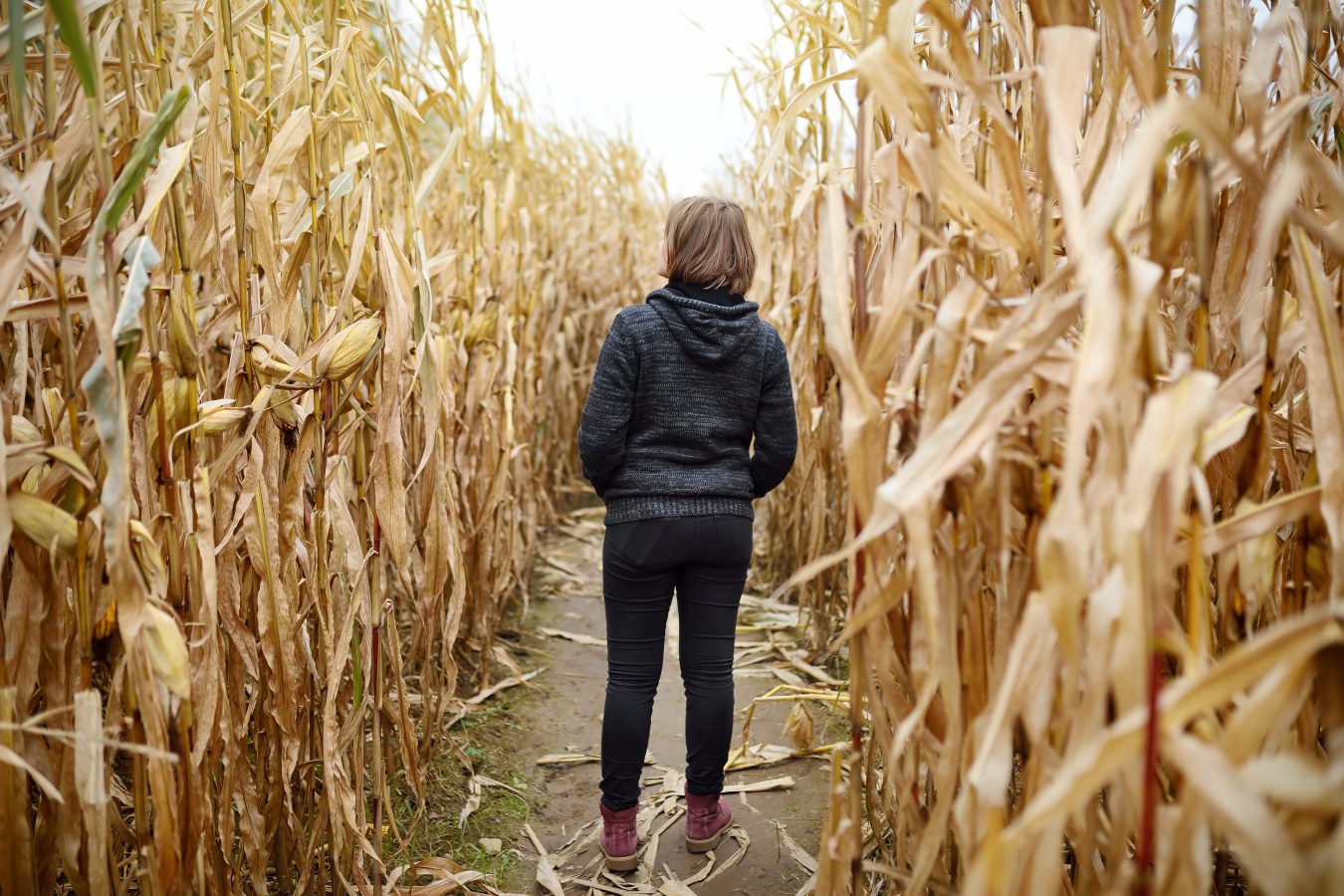 Woman walking through a corn maze.