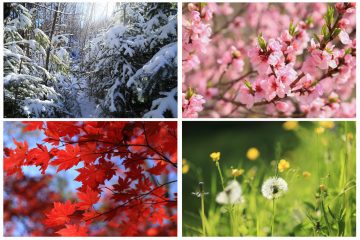 Collage images of the four seasons with nature.
