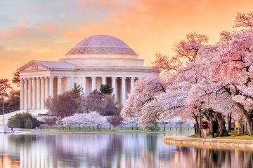 Jefferson Memorial during the Cherry Blossom Festival in Washington, DC, United States.