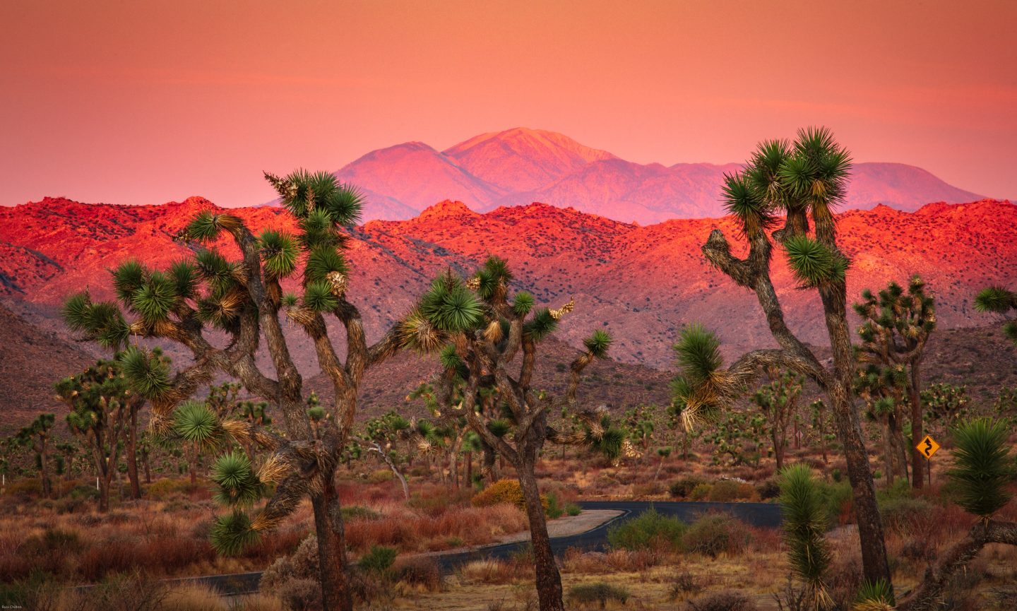 A bright pink and red sunrise over San Gorgonio montain in Joshua Tree National Park, one of the best relaxing destinations.