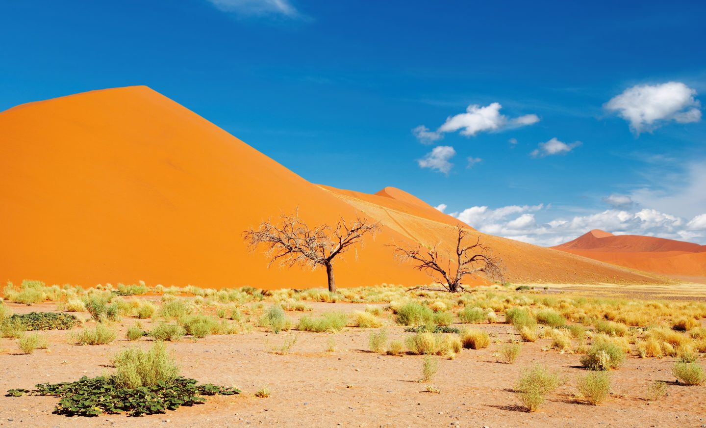 Dunes of Namib Desert, Sossusvlei, Namibia