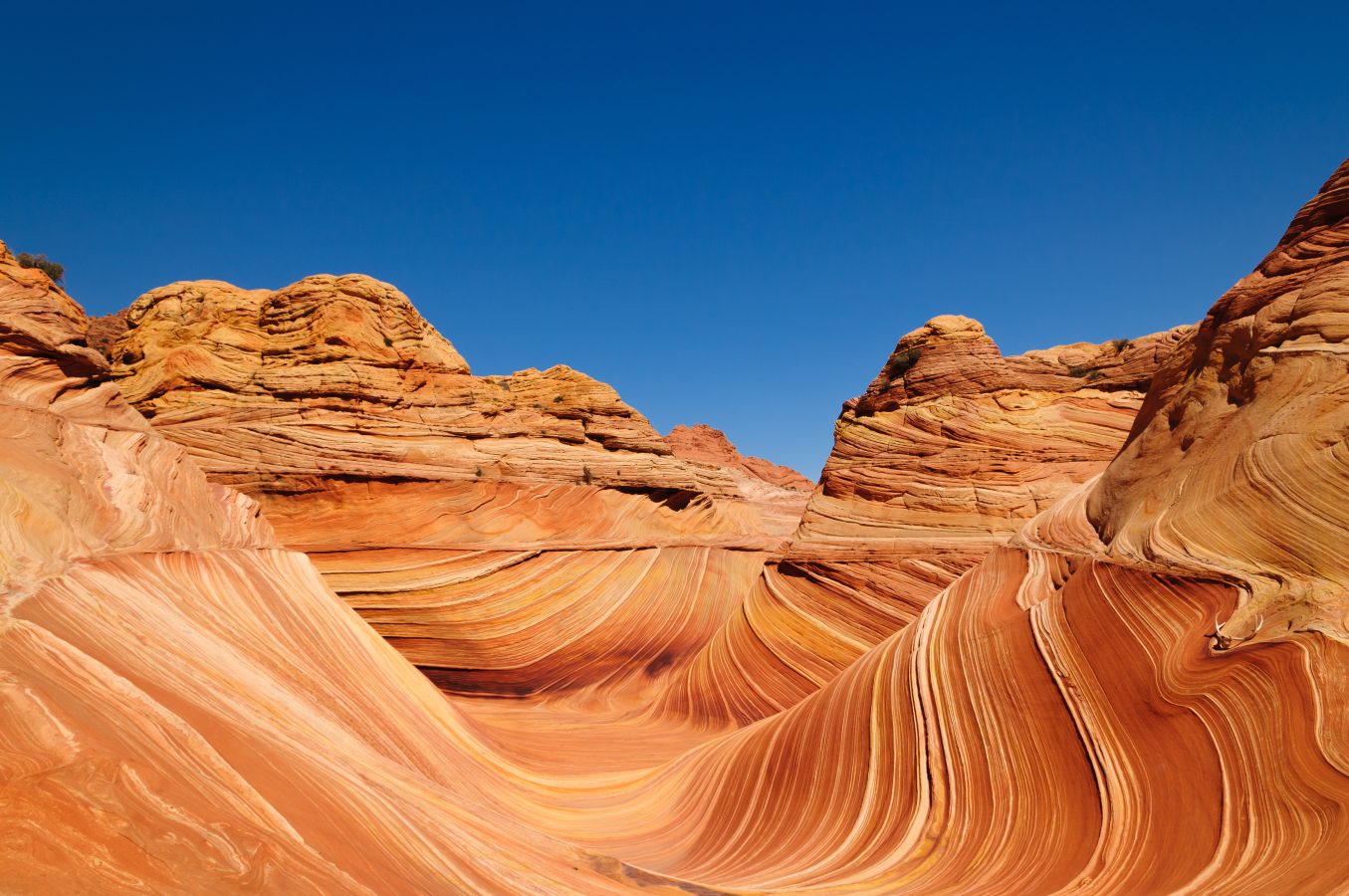 Bright orange rock formations of The Wave in Arizona.