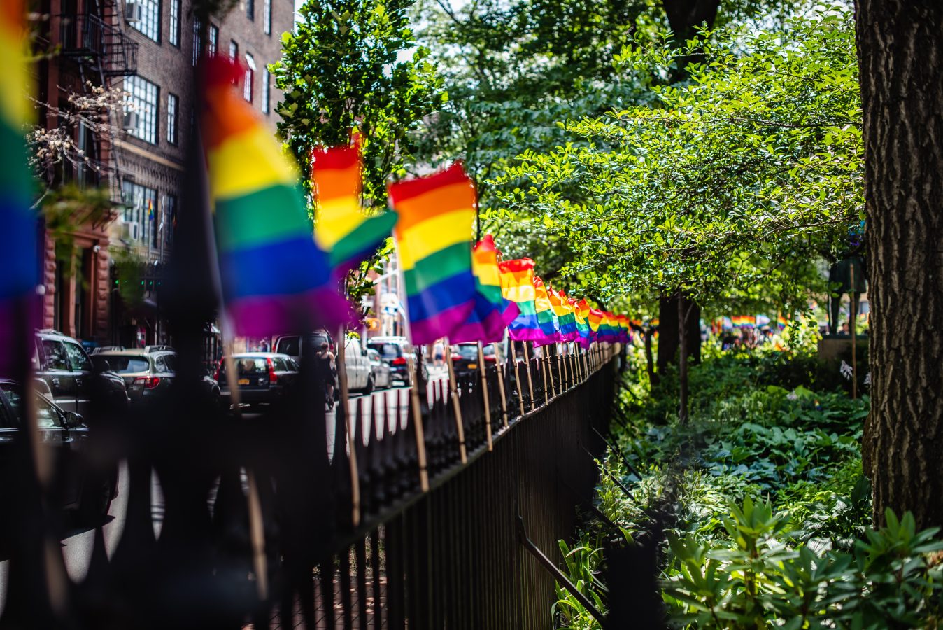 The park outside Stonewall lined with rainbow pride flags.