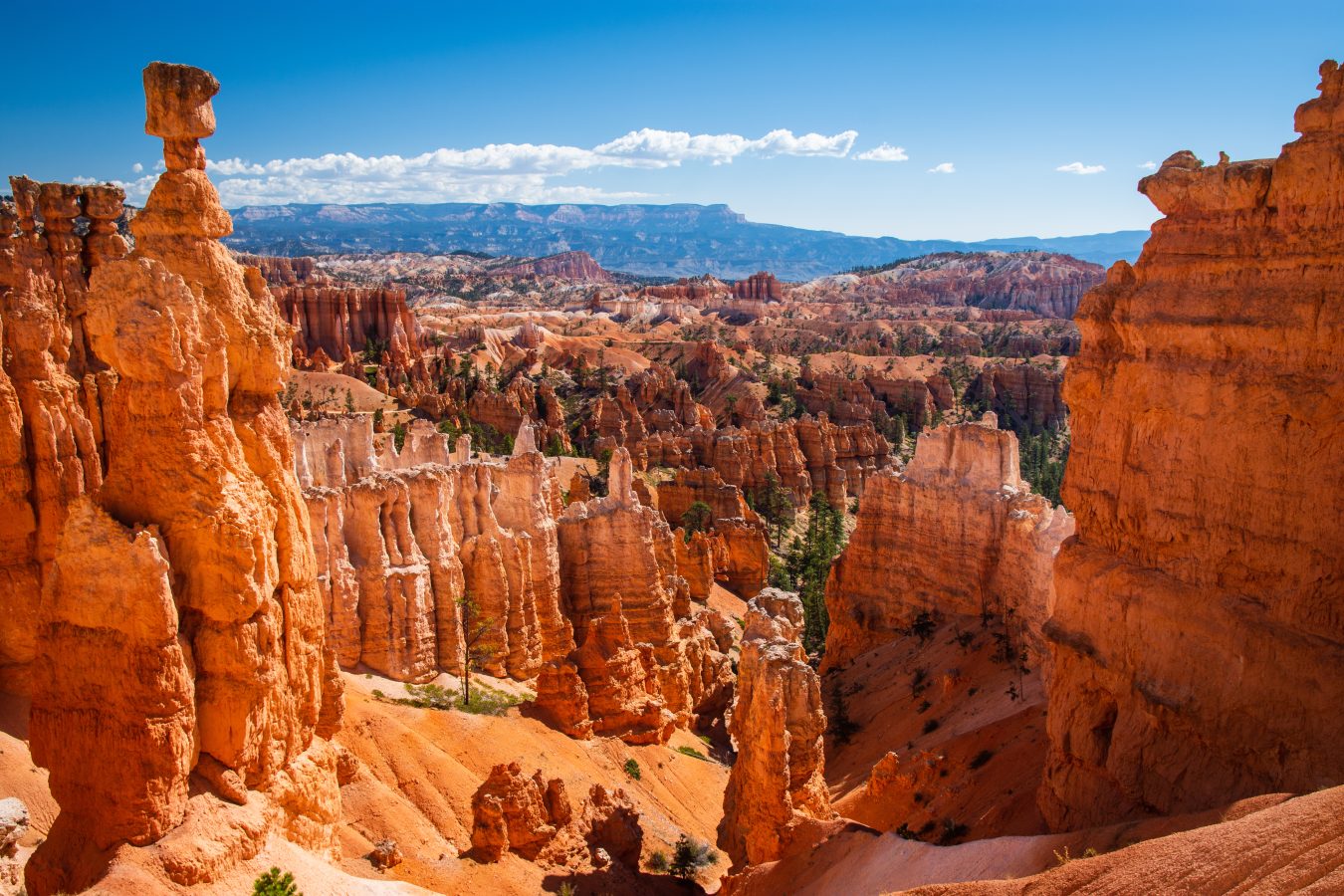 Overlooking Bryce Canyon National Park.