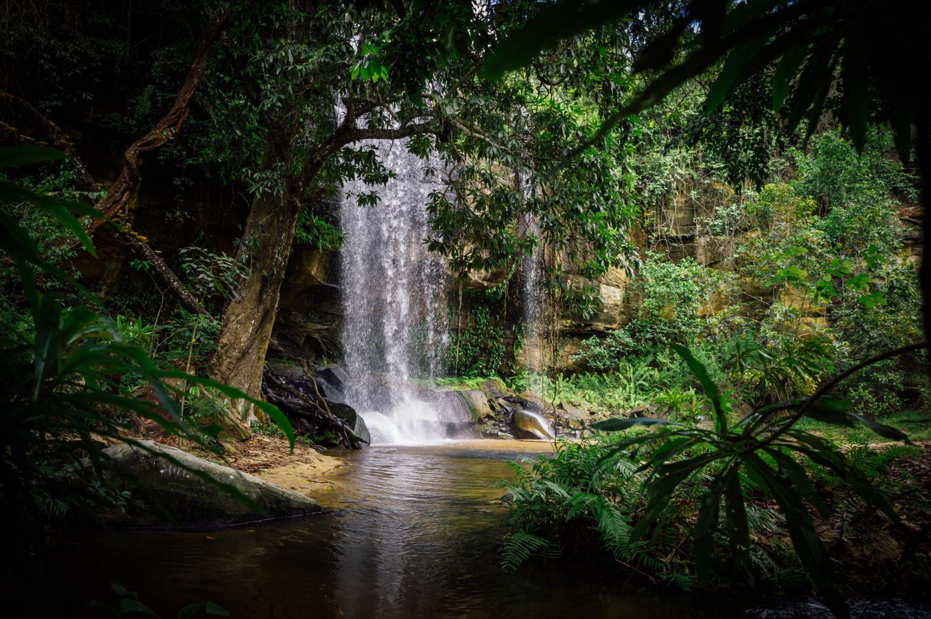 Beautiful waterfall in green jungle oasis.