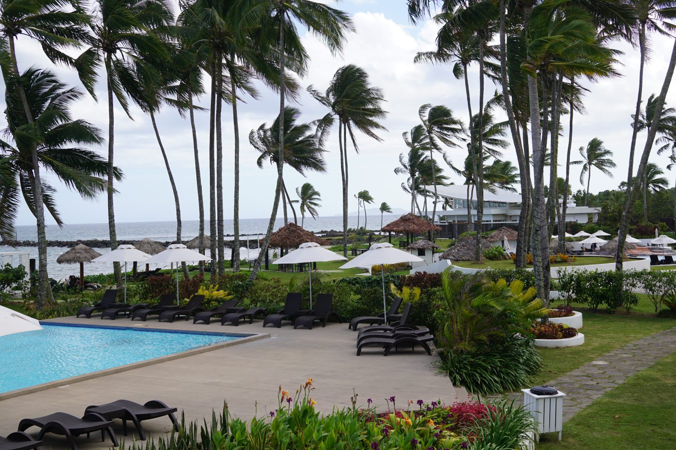 View of the pool, loungers, palm trees, and in the background the ocean at our resort in Pacific Harbour, Fiji.
