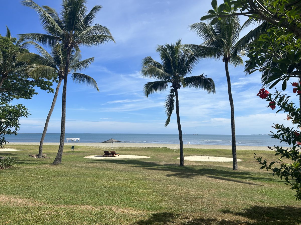Palm trees, green grass, the beach, and the ocean on a clear day in Denarau Island, Fiji.