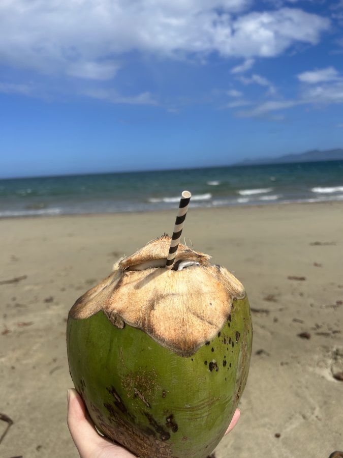 Sipping on a fresh coconut while sitting on the beach in Fiji.