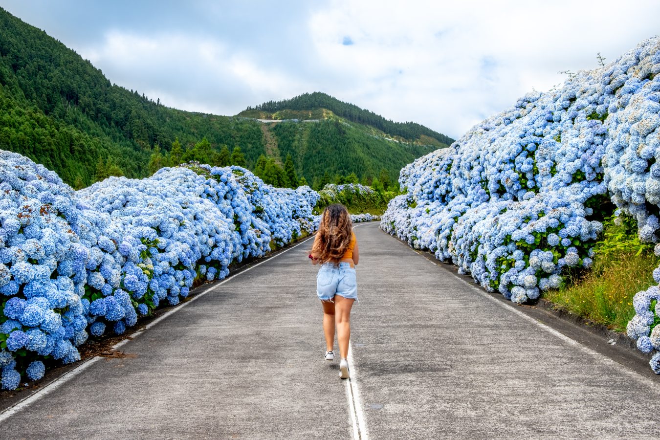 Young woman runs on the street in the Azores with blue flower bushes on either side of the road.