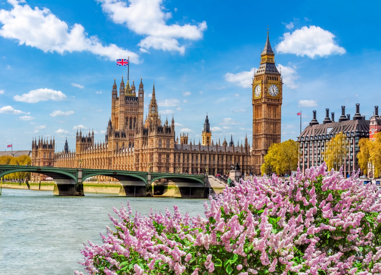 Big Ben tower and Houses of Parliament in spring, London, UK with flowers in the foreground.
